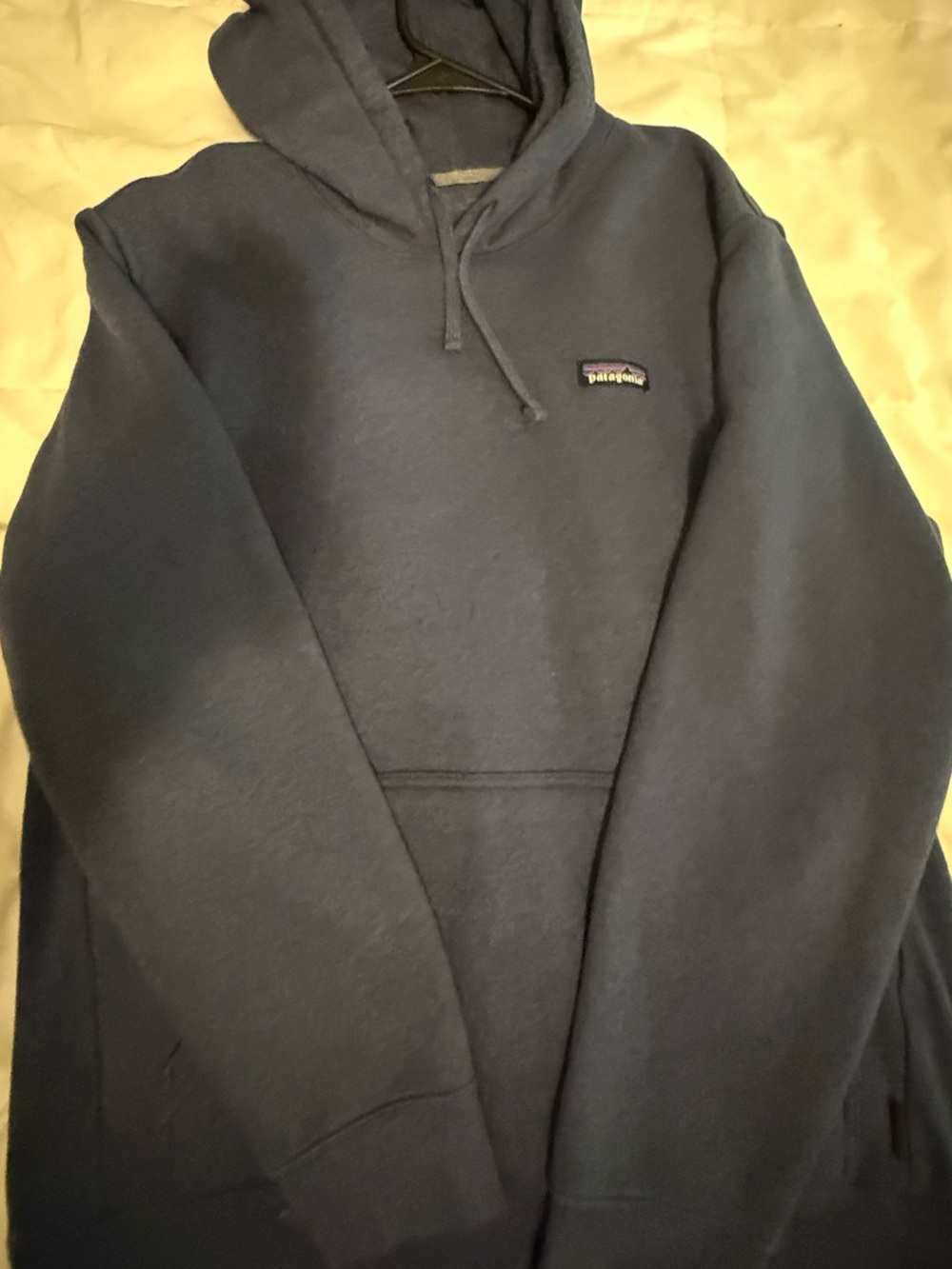Patagonia Dark Navy Pullover Hoodie